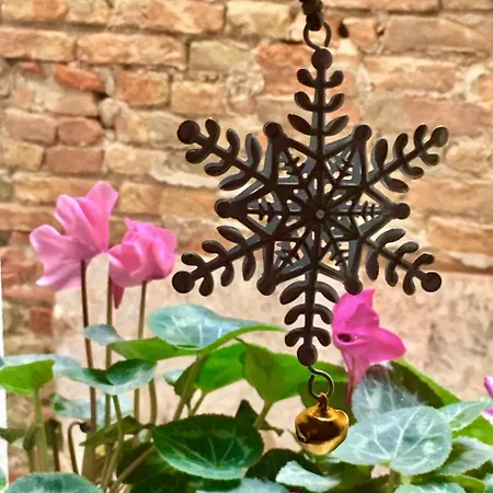 Apartment Barbara's Chioggia