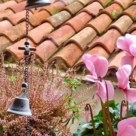 Barbara's Appartamento