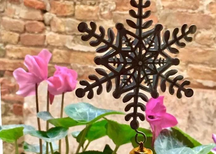 Apartman Barbara's Chioggia